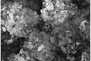 碳包覆辅助的钠钛双掺杂硅酸铁锂正极材料及其制备方法和用途