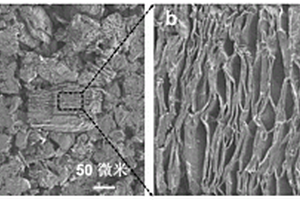 用于快充锂离子电池负极的三维石墨烯及其制备方法