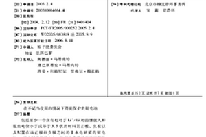 在不适当使用的情况下得到保护的锂电池