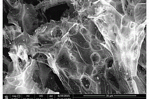 具有薄片状微观形貌的镍锰酸锂正极材料的制备方法