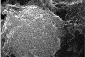 钛酸锂微球/碳纳米管复合材料及其制备方法