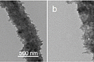 N掺杂多孔碳纳米纤维@二氧化锡锂离子电池负极材料及其制备方法