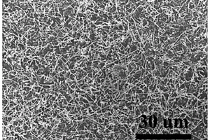 三维多孔互联骨架锂金属电池负极材料及其制备方法