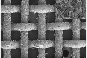 三维亲锂碳界面修饰的铜基集流体及其制备方法和应用