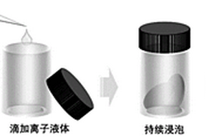 有机无机有序SEI层修饰锂金属的制备方法及其在电化学领域中的用途