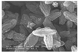 纺锤形磷酸铁锂纳米束及其制备方法