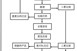 苛化法制备氢氧化锂的工艺及其应用