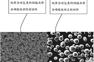 硫掺杂碳包覆的锶锰共掺杂磷酸铁锂正极材料的制备方法