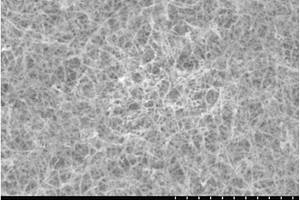 三维纳米多孔铜/一维氧化亚铜纳米线网络型锂离子电池负极及其一步制备法