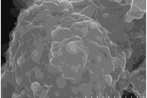 碳包覆锂镍钒氧纳米材料的制备方法及其应用