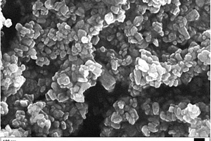 稀土元素共掺杂的磷酸锰锂/碳复合正极材料及其制备方法
