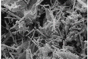 石墨烯复合磷酸铁锂纳米线正极材料及其制备方法