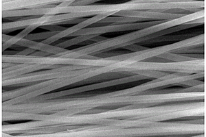 新型高性能静电纺聚芳醚砜酮锂电池隔膜的制备方法
