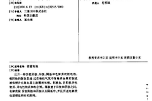 锂蓄电池