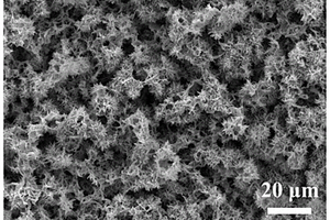高负载多层分级纳米结构自支撑钛酸锂电极及其制备方法