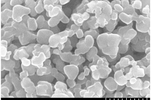 锆钪复合氧化物包覆钛酸锂负极材料及其制备方法
