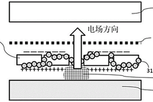 用于锂金属电池的隔膜及其制备方法