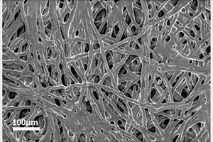 海藻纤维的改性方法及其在锂离子电池隔膜中的应用