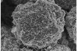 硅-碳纳米管微球、其金属锂复合物与其制备方法及应用