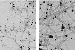 多孔碳骨架-纳米颗粒复合材料、其金属锂复合物、它们的制备方法及应用