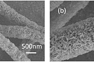 用作锂离子电池负极材料的二硫化钼包覆碳纳米纤维及其制备方法