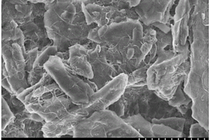 碳纳米管为导电剂的锂氟化碳电池用正极浆料制作方法