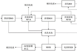 盐湖卤水提锂系统