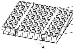 用于电动汽车锂电池的散热模组
