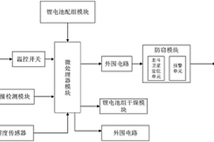 带有高度智能化系统的锂电池组