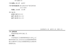 铁锂纳米复合材料合成工艺