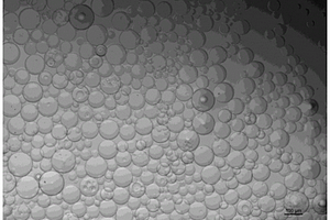 高强度多糖-纳米锂藻土复合微球及其制备方法