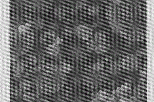 碳包覆粒度可控球形磷酸铁锂复合正极材料及其制备方法
