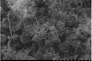 锂电池硅碳纳米管复合负极材料及其制备方法与应用