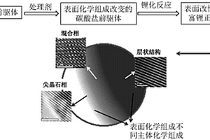 层状富锂正极材料的表面结构和化学组成同步调控方法