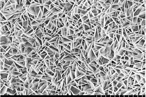 三维纳米多孔铜/二维氧化亚铜纳米片阵列型锂离子电池负极及其一步制备法