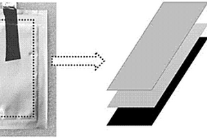 双炭布柔性锂硫电池及其制备方法