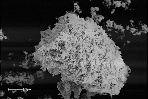 锂离子电池炭包覆Sn-Co/石墨烯微球负极材料的制备方法