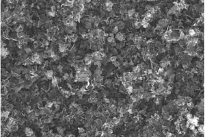 锂离子电池三维多孔碳负极材料