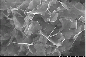 钛基片/钛球形复合材料在锂离子电池负极中的应用