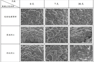 纳米硅酸镁锂包覆高镍正极材料及其制备方法与应用