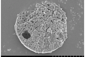 作为固体氚增殖剂的偏铝酸锂多孔微球的制备方法