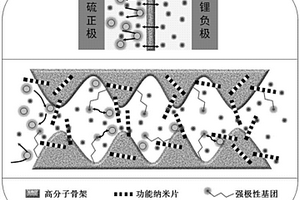 锂硫电池隔膜及其制备方法、应用