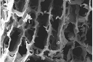 定向多孔磷酸铁锂-石墨烯复合材料及其制备方法
