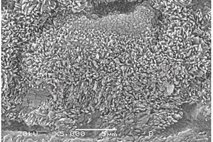 微波法制备偏铝酸锂粉体的方法