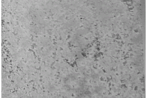 镁锂合金微弧氧化涂层表面的稀土前处理工艺