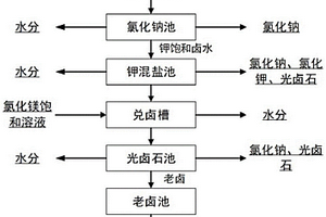 氯化钙型含锂盐湖卤水蒸发兑卤成矿工艺