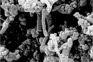 硅酸亚铁锂/碳/碳纳米管复合正极材料及其制备方法