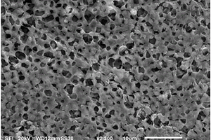 锂钛型离子筛复合膜的制备方法及其用途