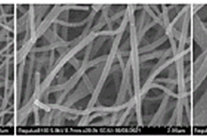 柔性自支撑铁掺杂多孔碳纳米纤维锂金属负极骨架材料的制备方法
