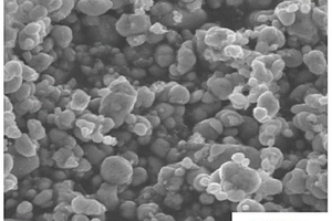 钨掺杂硅酸亚铁锂正极材料及其制备方法